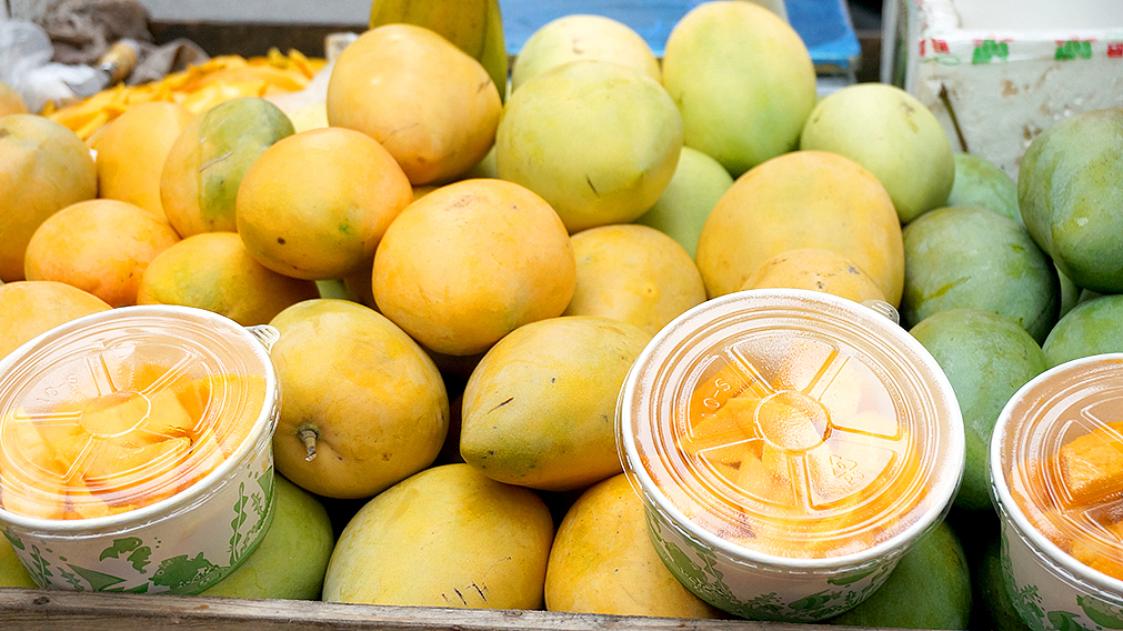 去厦大,又见芒果。。。。讨厌。。。。