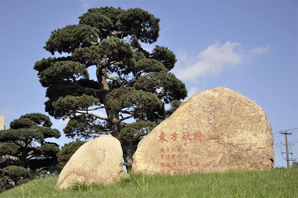 东锦集团不断努力发展东锦的新格局