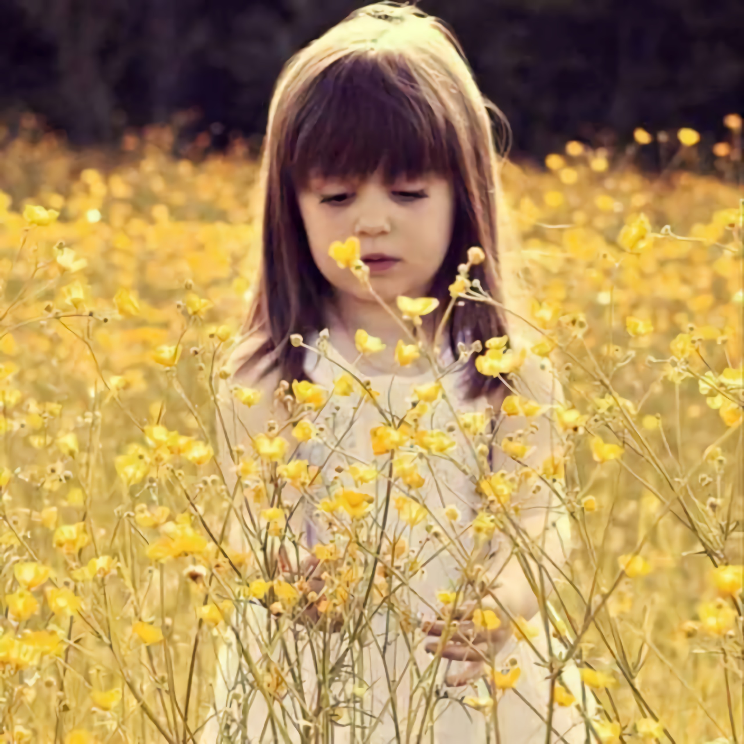 是青椒呀的个人主页（封面预览） - 主页封面设置 - 站酷设计师是青椒呀原创素材 - 站酷ZCOOL