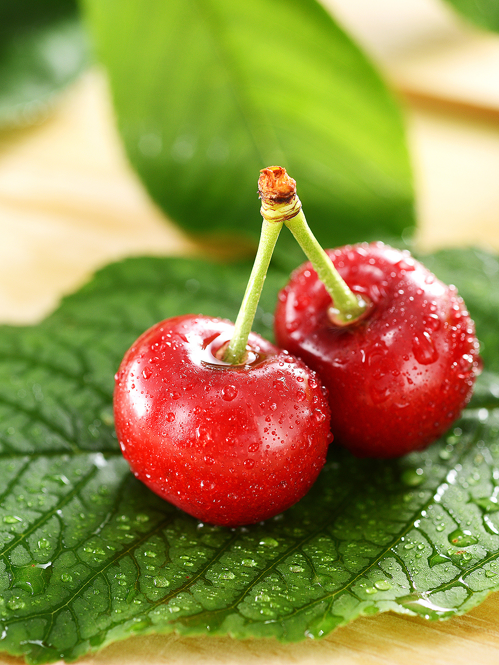 樱桃拍摄水果生鲜摄影/西红视摄影