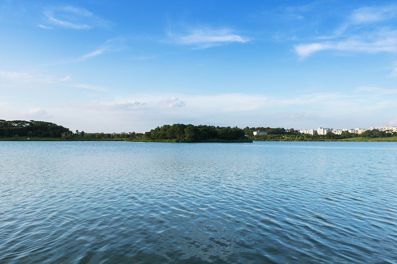 广州白云湖湿地公园图片