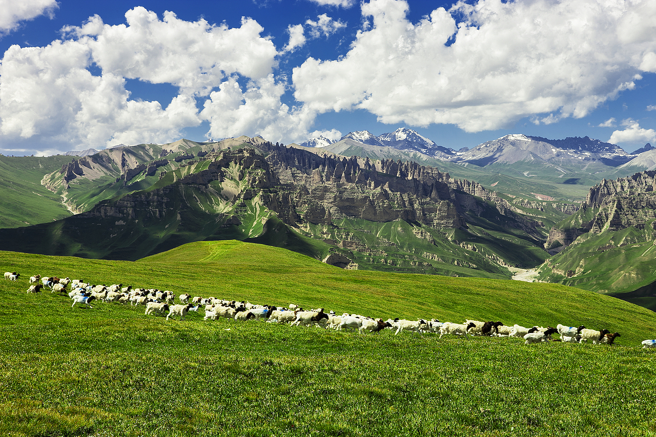 巴音布鲁克湿地（图ZMTcyMjIxNDA0） - 风光摄影 - 站酷设计师新疆摄影家沈久泉原创素材 - 站酷ZCOOL