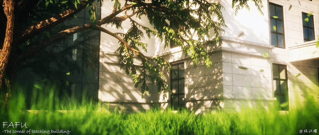 福建农林大学-校内一角