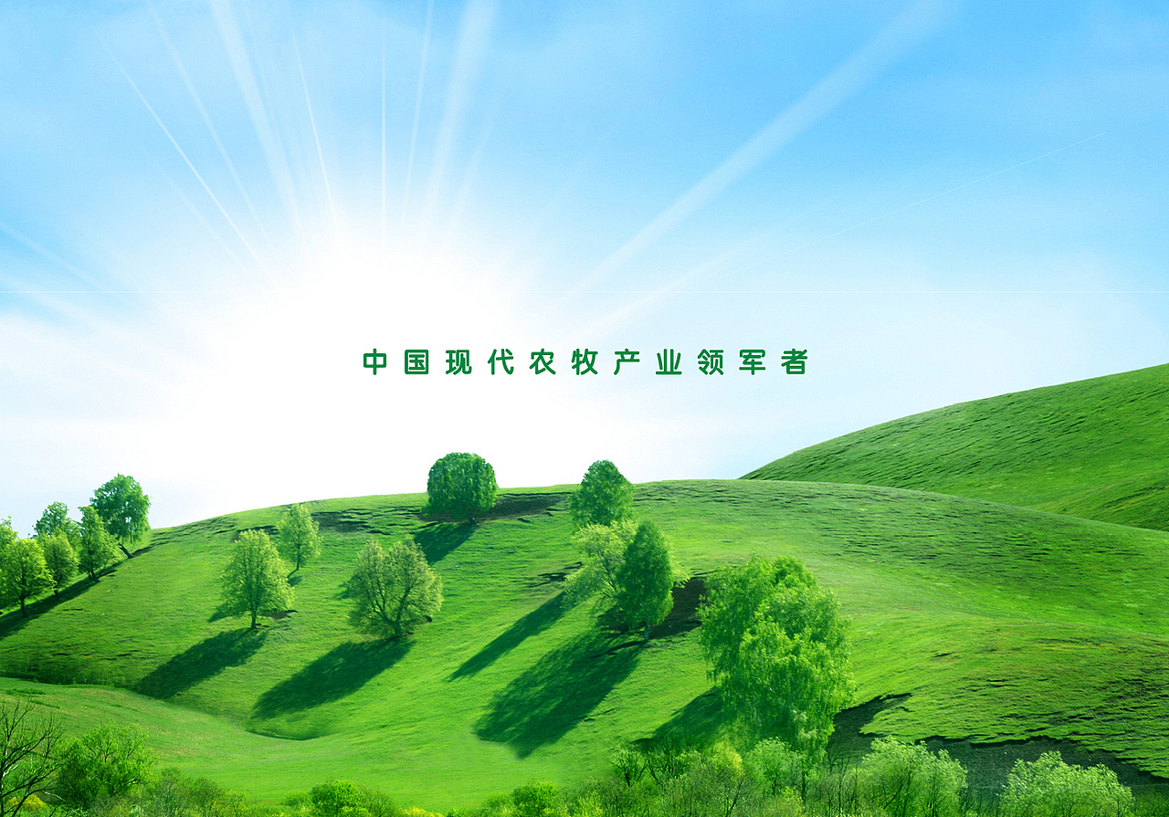 VI（图ZOTAzMzI1MjQ=） - 品牌 - 站酷设计师jhq6116原创素材 - 站酷ZCOOL