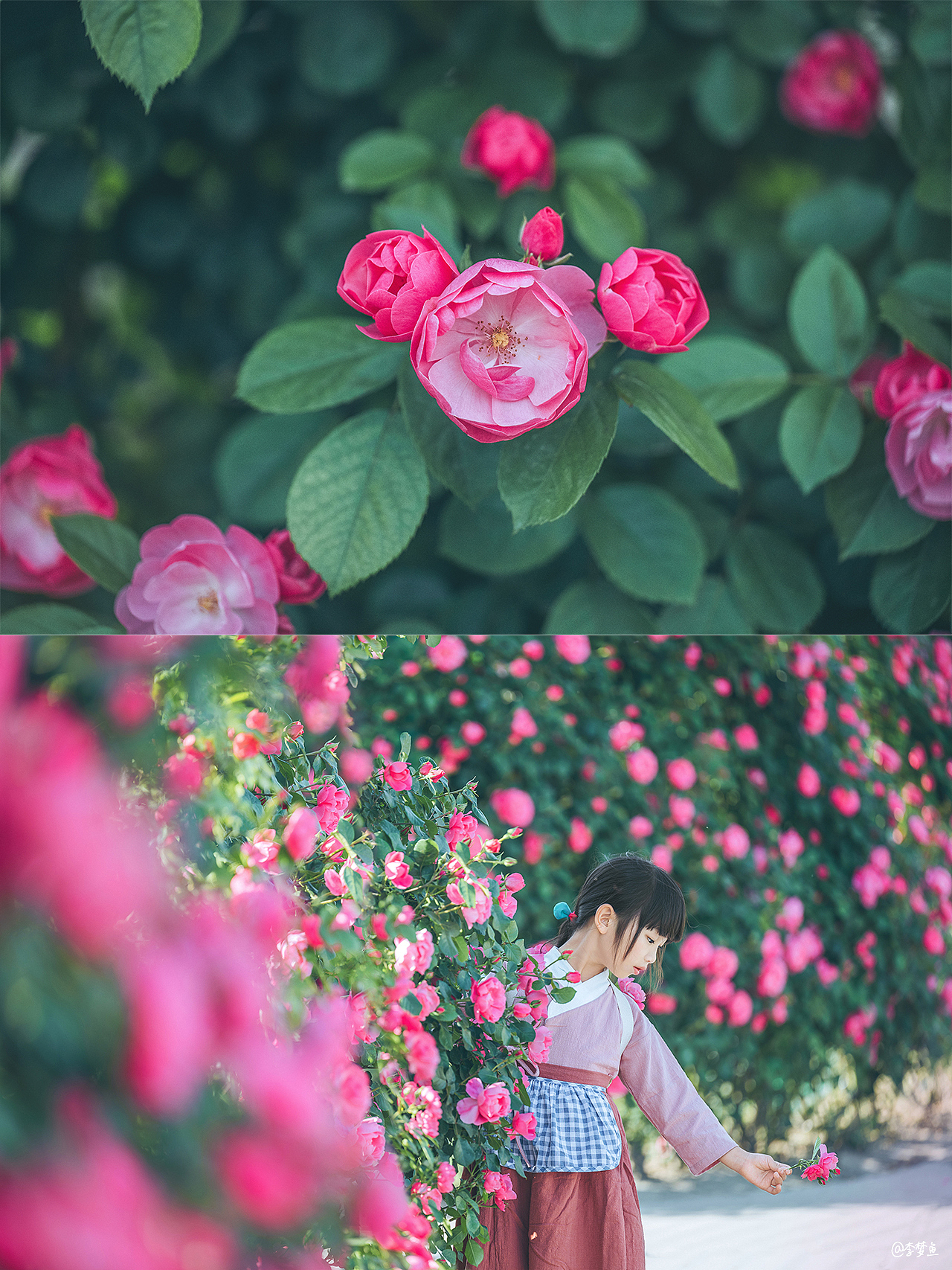 有位姑娘～美好的像画一样（图ZMjU2ODkxNDQ4） - 人像摄影 - 站酷设计师腰果虾仁原创素材 - 站酷ZCOOL