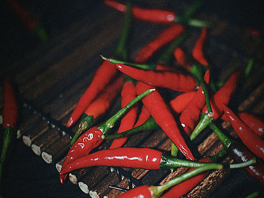 一半烟火以谋生,一半诗意以谋爱