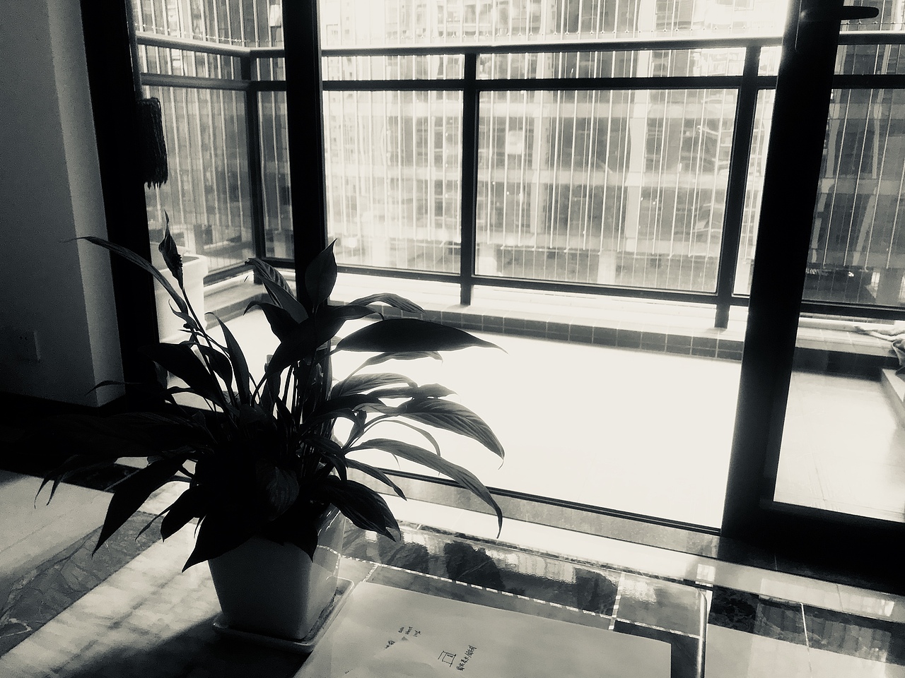 午后情绪 聚:散