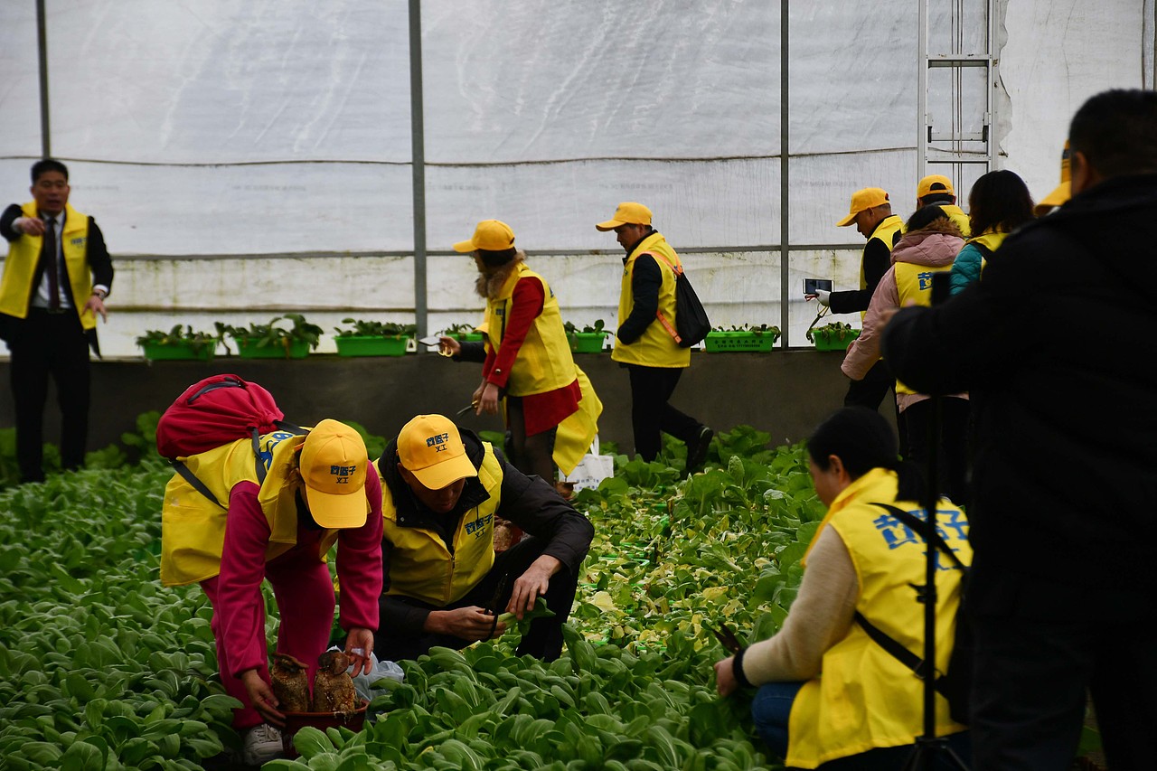 黄篮子生鲜连锁图片素材库 - 站酷图片网