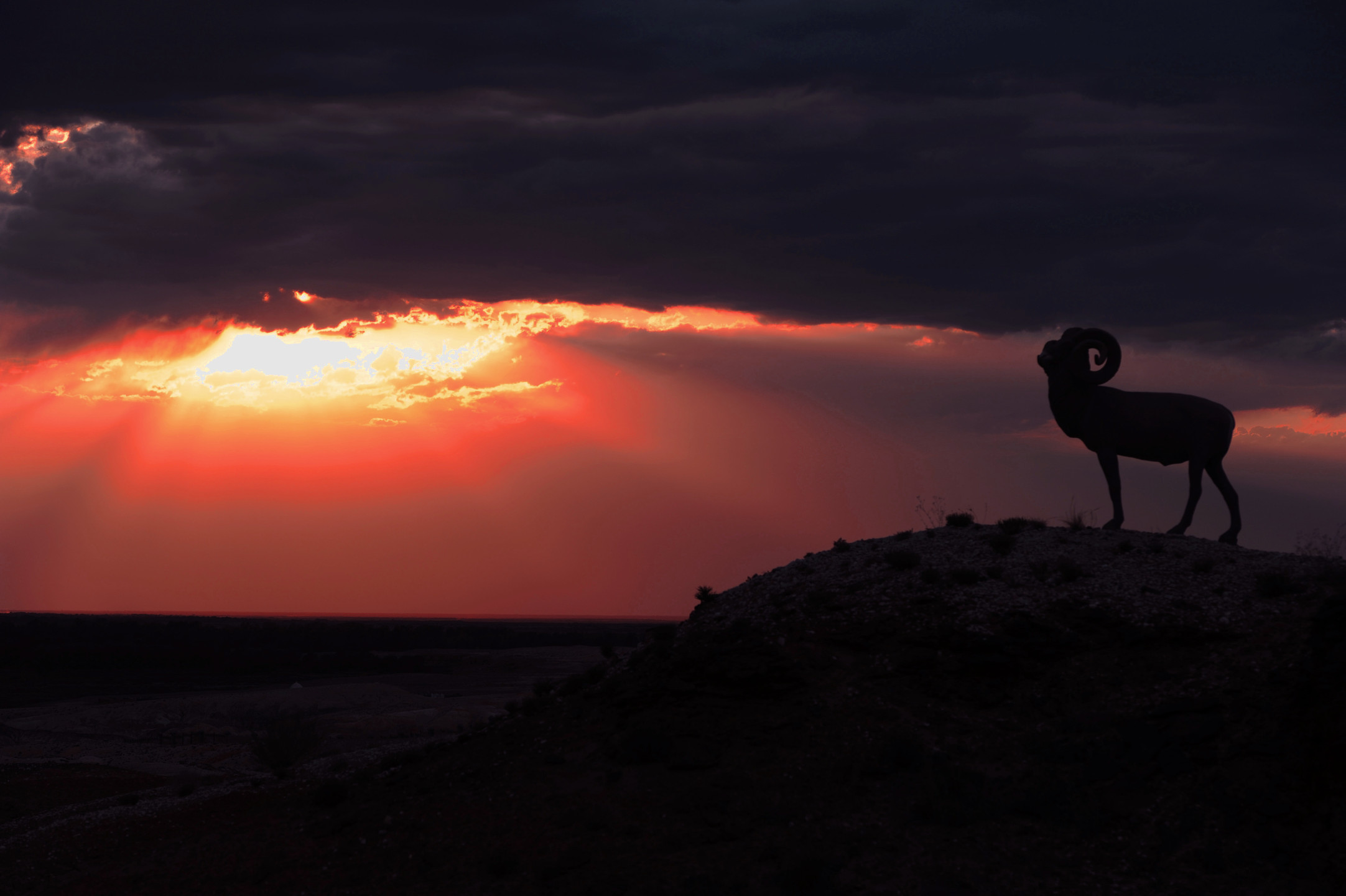 小柳團子的個人主頁（封面預覽） - 主頁封面設置 - 站酷設計師小柳團子原創(chuàng)素材 - 站酷ZCOOL