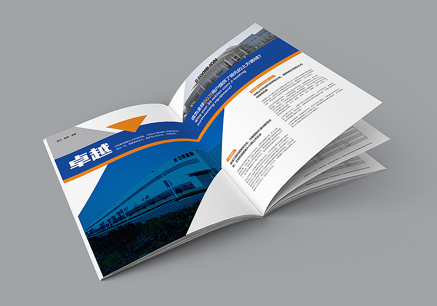 赛狮画册设计集合