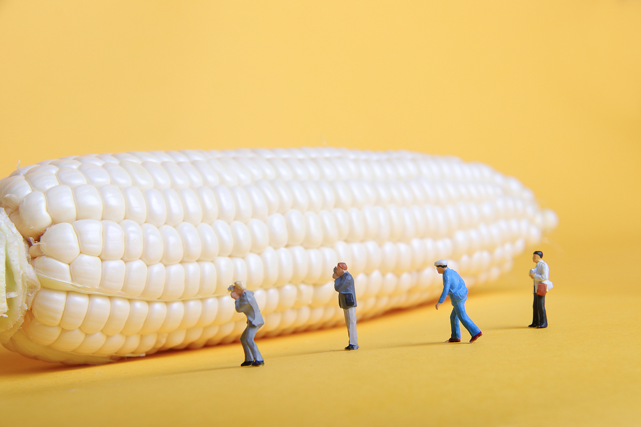 微观创意摄影玉米