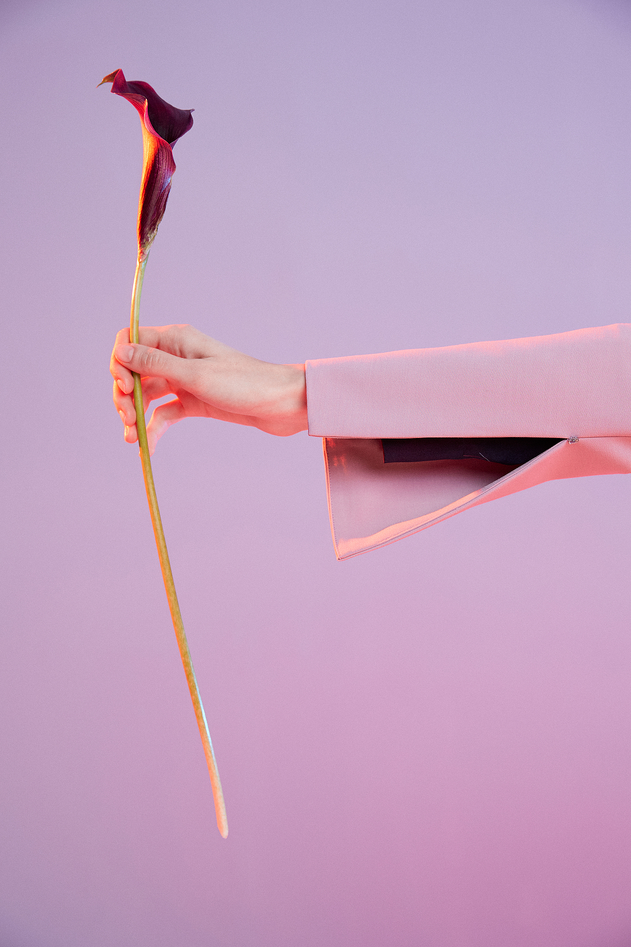 杭州卓米商业|时尚|服装摄影师 服装画册拍摄（图ZMjExNDE4Mjc2） - 时尚/艺术摄影 - 站酷设计师卓米Photographer原创素材 - 站酷ZCOOL