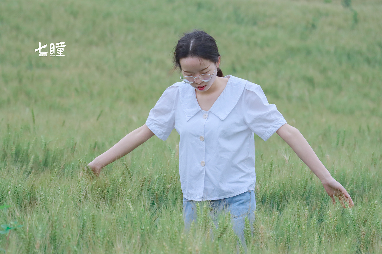 初夏麦田,伸手可触的微风