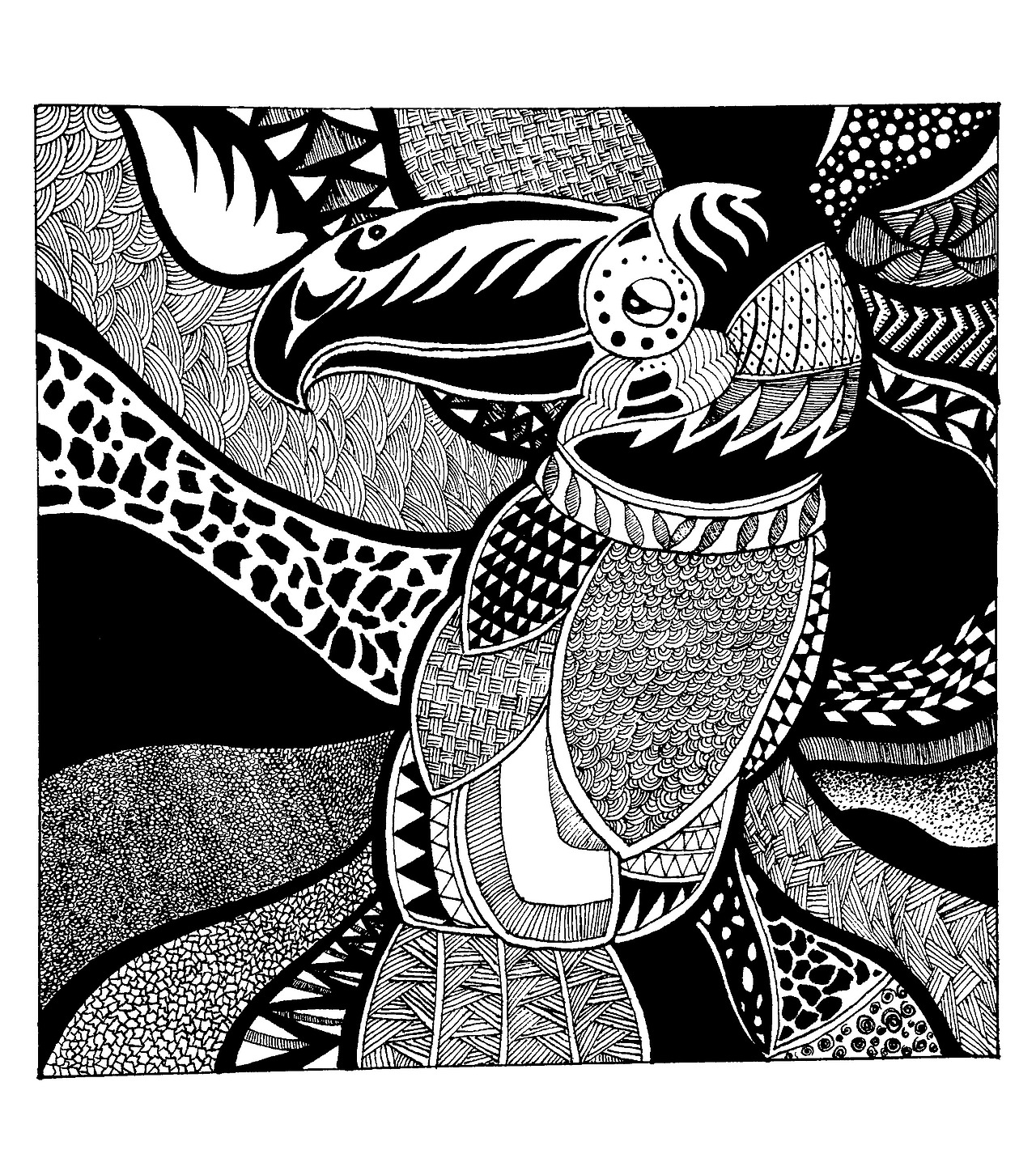 黑白插画-大嘴鸟