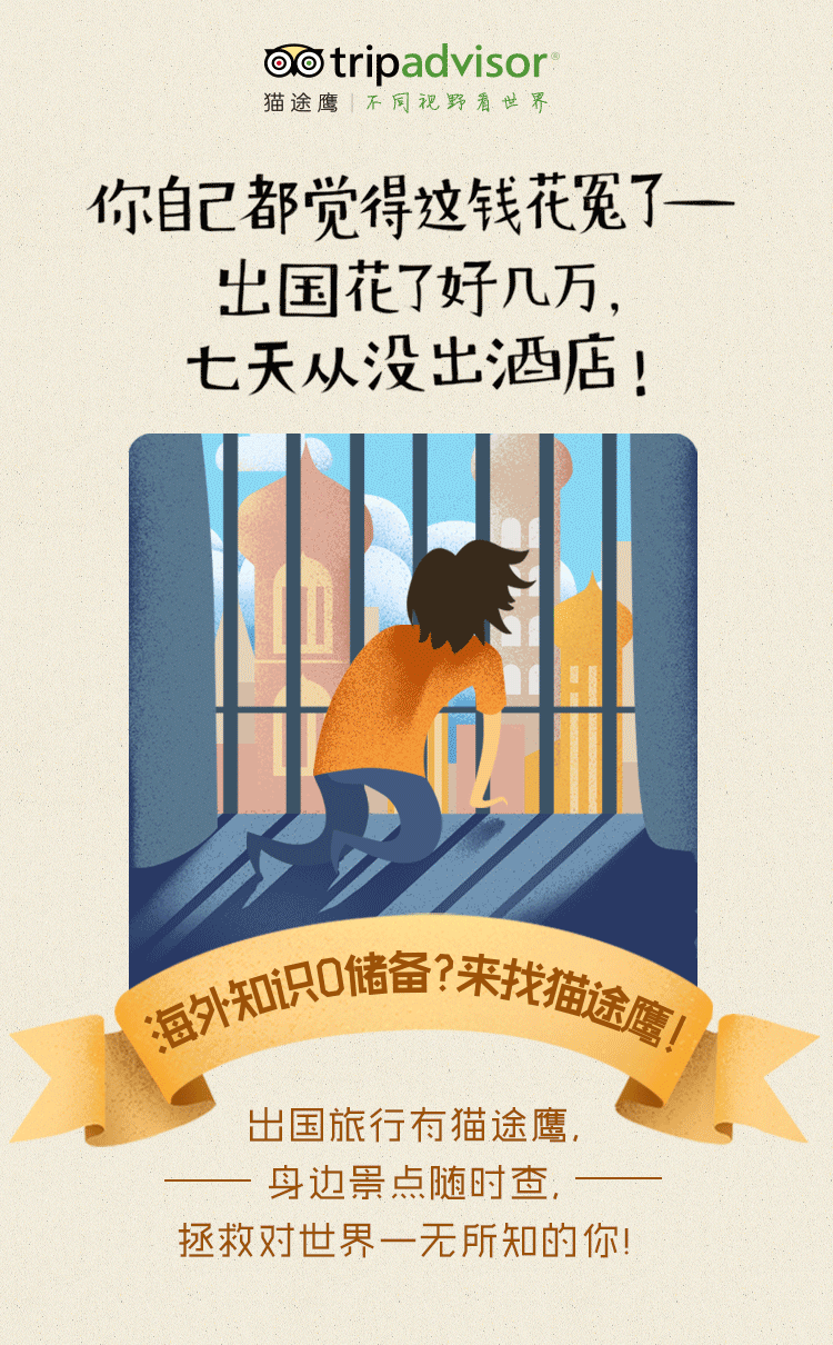猫途鹰-0经验旅行家