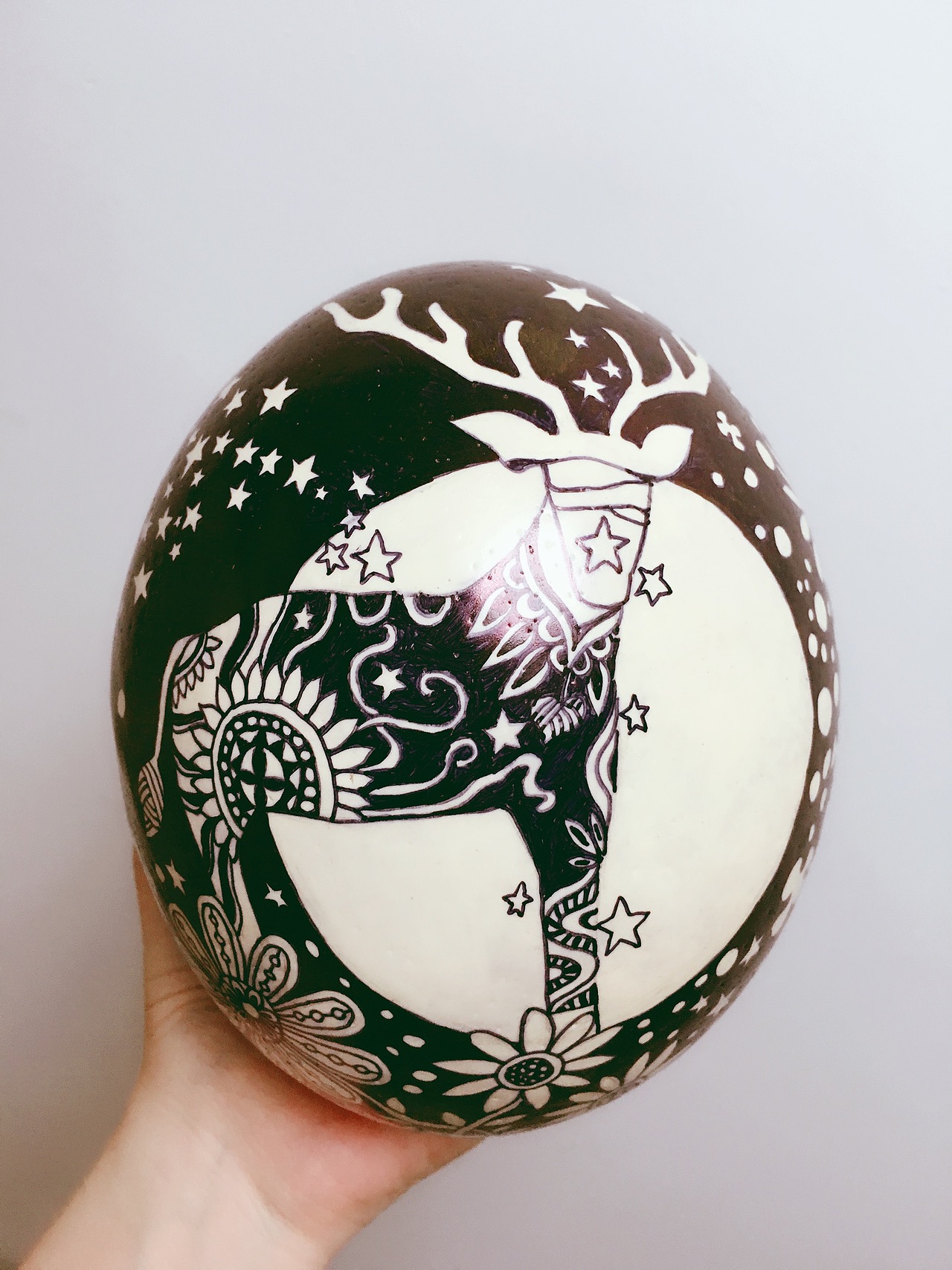 鸵鸟蛋黑白插画