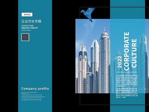 企业文化画册设计