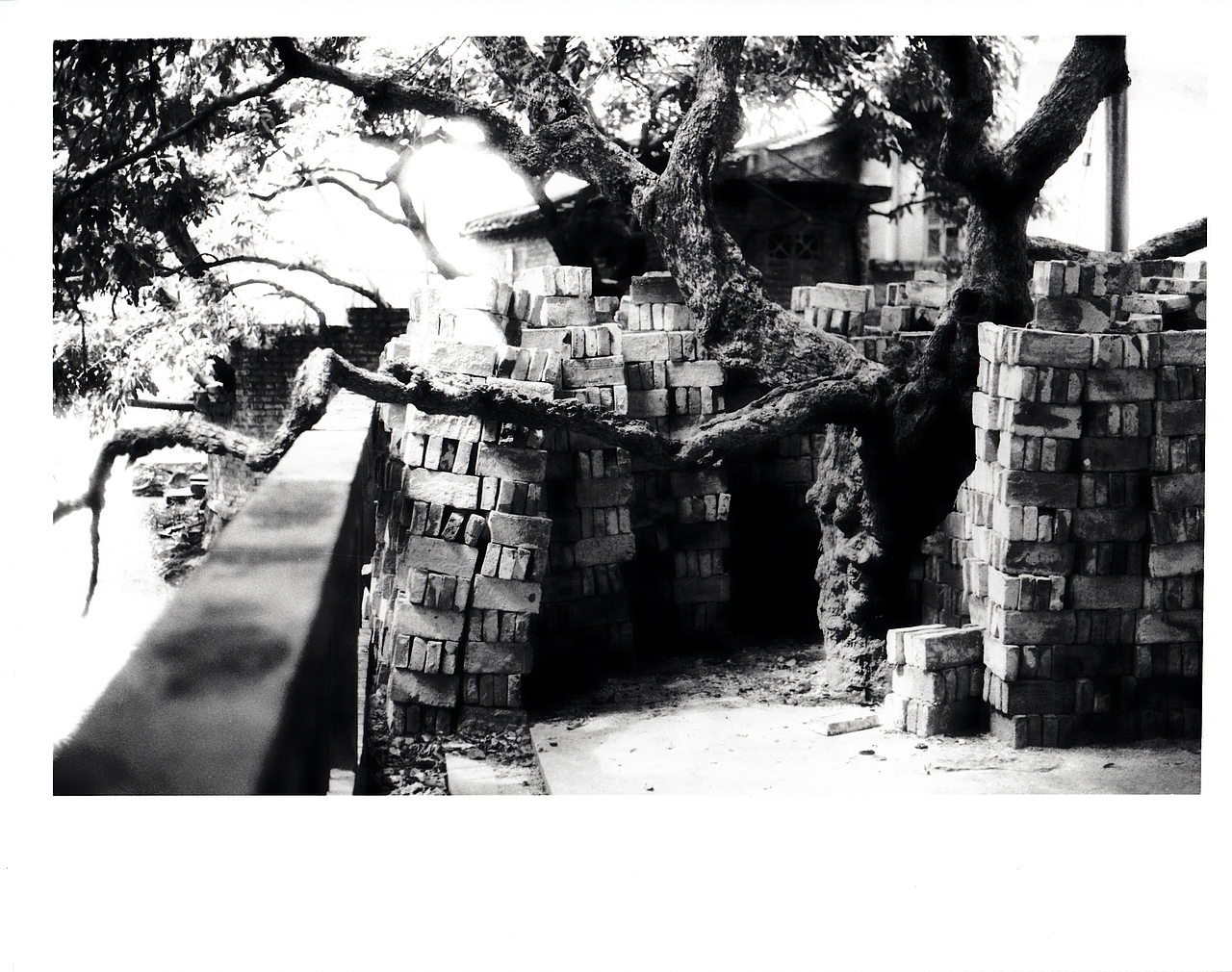 black-and-white photography（图ZNjIxMjkyOA==） - 风光摄影 - 站酷设计师齋言齋原创素材 - 站酷ZCOOL