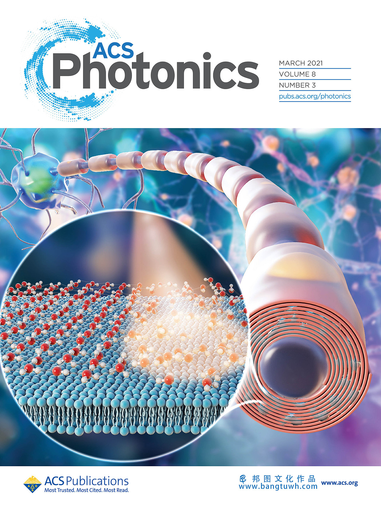 sci期刊封面设计
