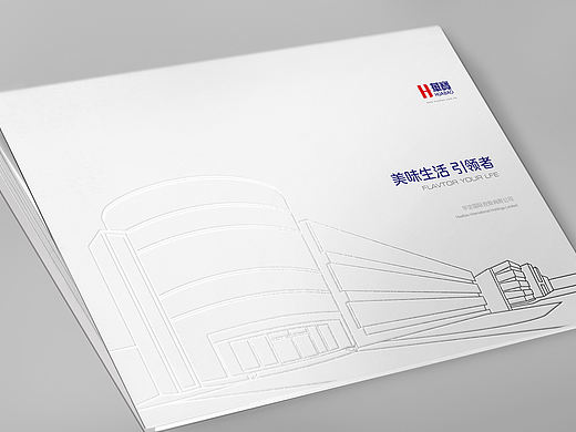 华宝 × 五颗蛋 | 企业品牌画册设计