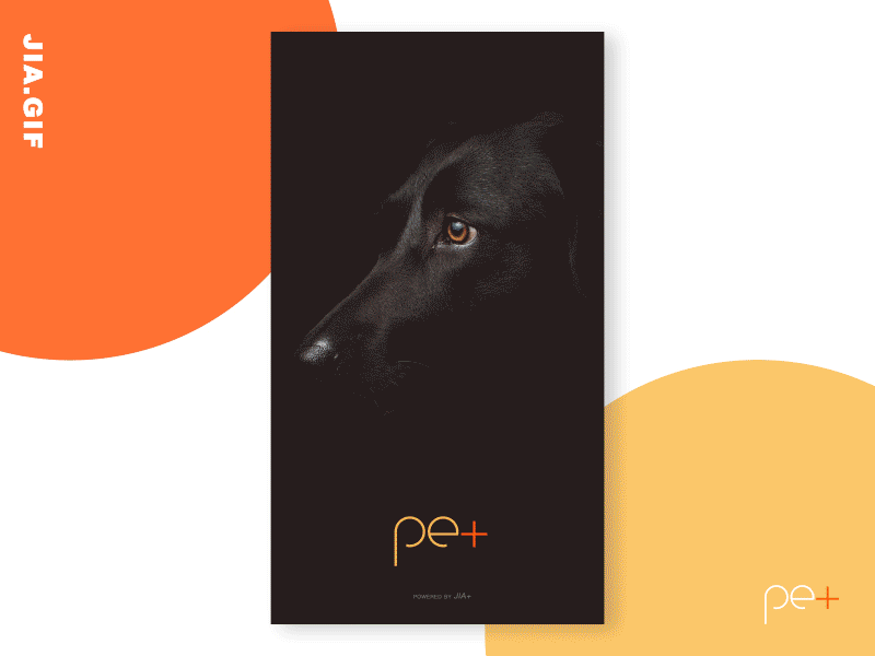 App Pet+（图ZMTQyMjMwMjgw） - 动效设计 - 站酷设计师MsJiajia原创素材 - 站酷ZCOOL