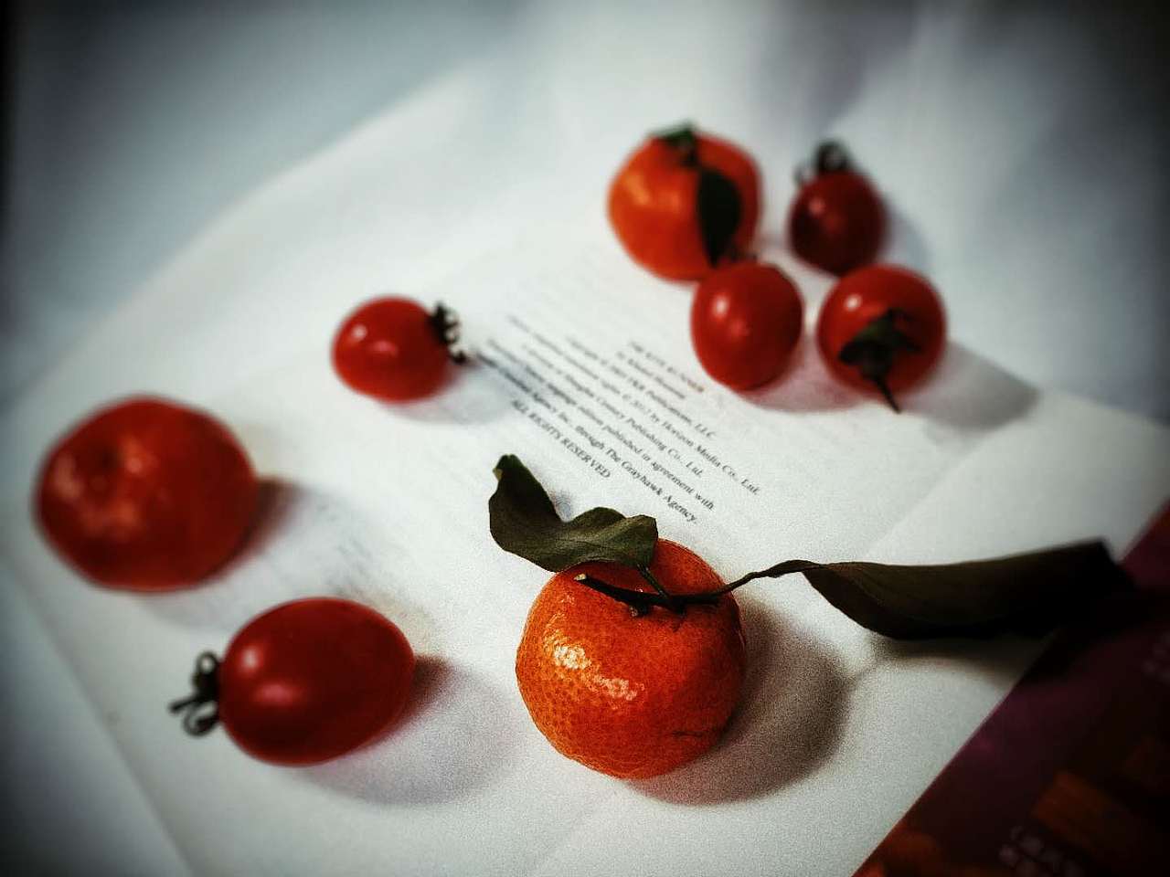 手机摄影 | 红米 Note 7 Pro 拍摄 暗调静物系列1（图ZMjAxODQ5MDUy） - 人文/纪实摄影 - 站酷设计师寒露时分原创素材 - 站酷ZCOOL