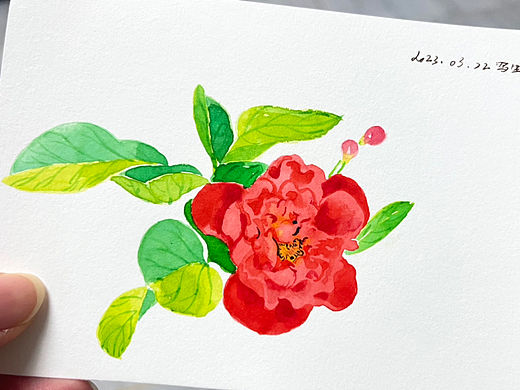 水彩花朵原创设计