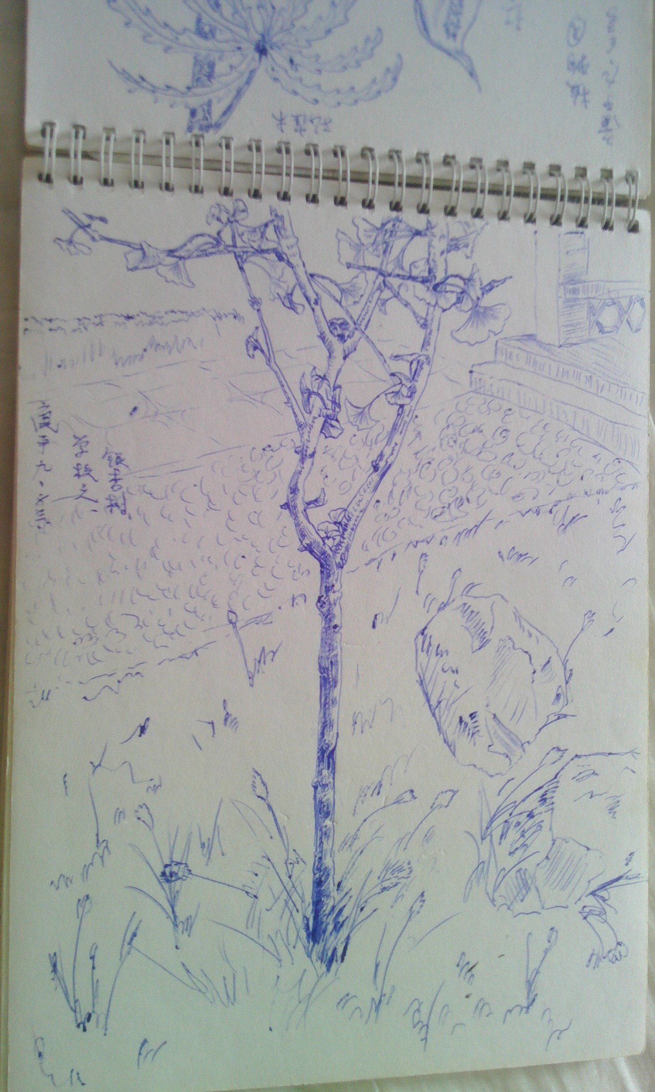 自己的04年—09年的本子,画满了快乐和悲伤~~~~~~