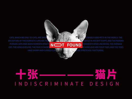 猫片