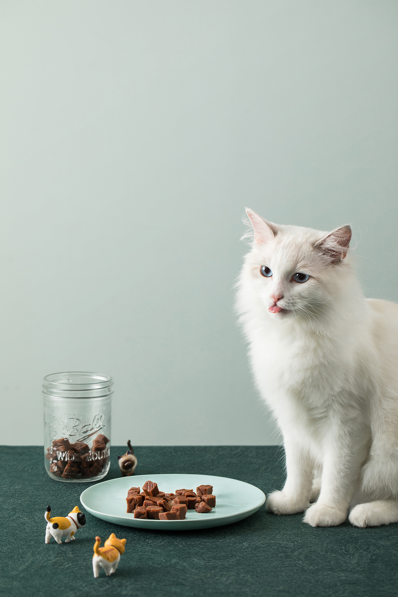 美的猫猫微波炉文描|撸猫、干饭、真香~