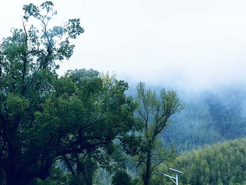 記錄我所在的城市?瑤里（個人主頁-ZNjYzODk3MDg=） - 環(huán)境/建筑攝影 - 站酷設(shè)計師Z40837813原創(chuàng)素材 - 站酷ZCOOL