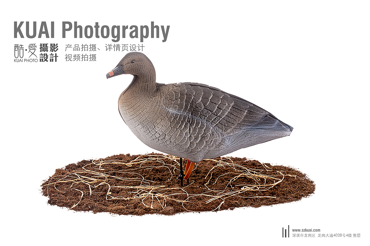 深圳产品拍摄 龙岗打猎产品图片拍摄 东莞鸭子大雁拍摄