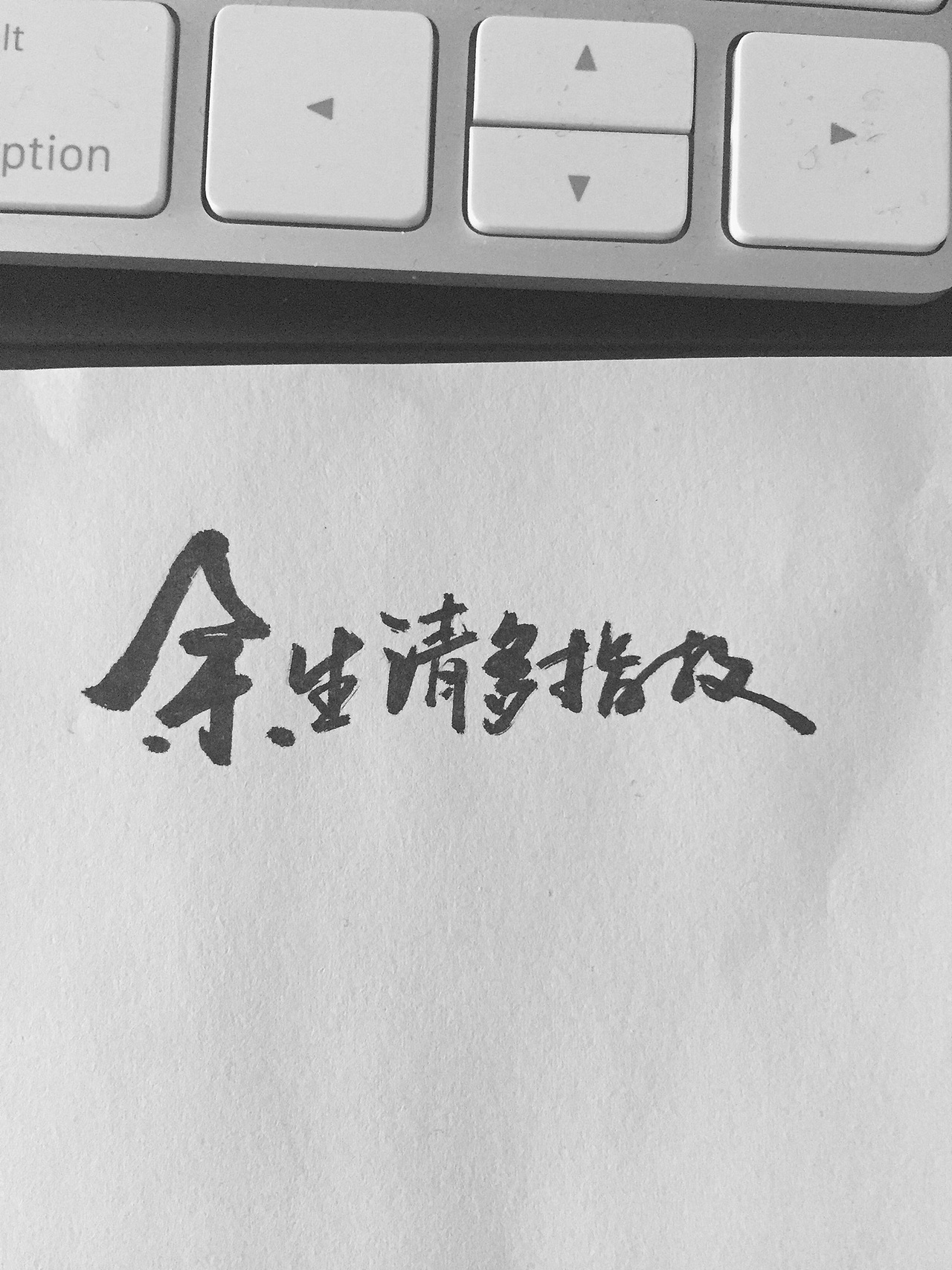 字体设计/手书
