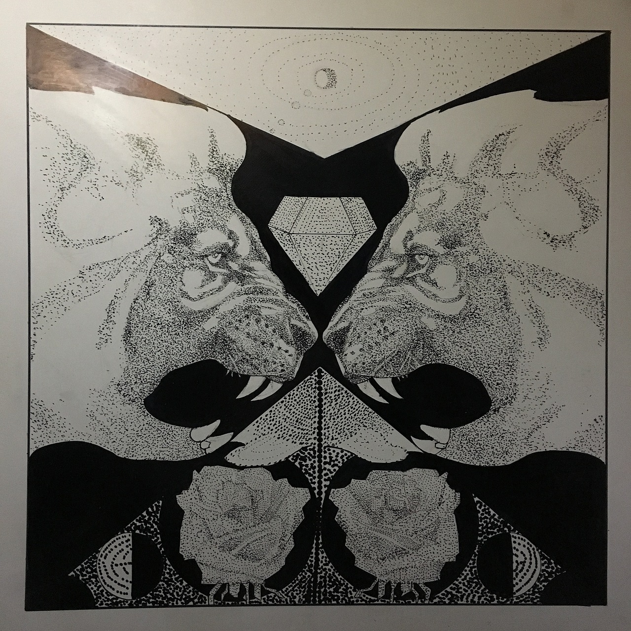 密集构成星空狮子