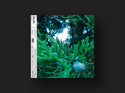 版式设计「自定主题」