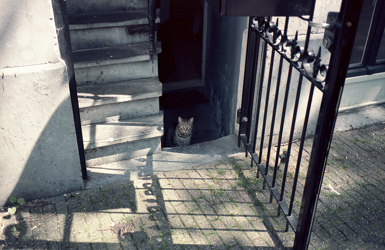 胶片记录阿姆斯特丹