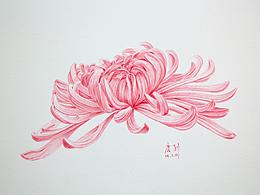 圆珠笔画
