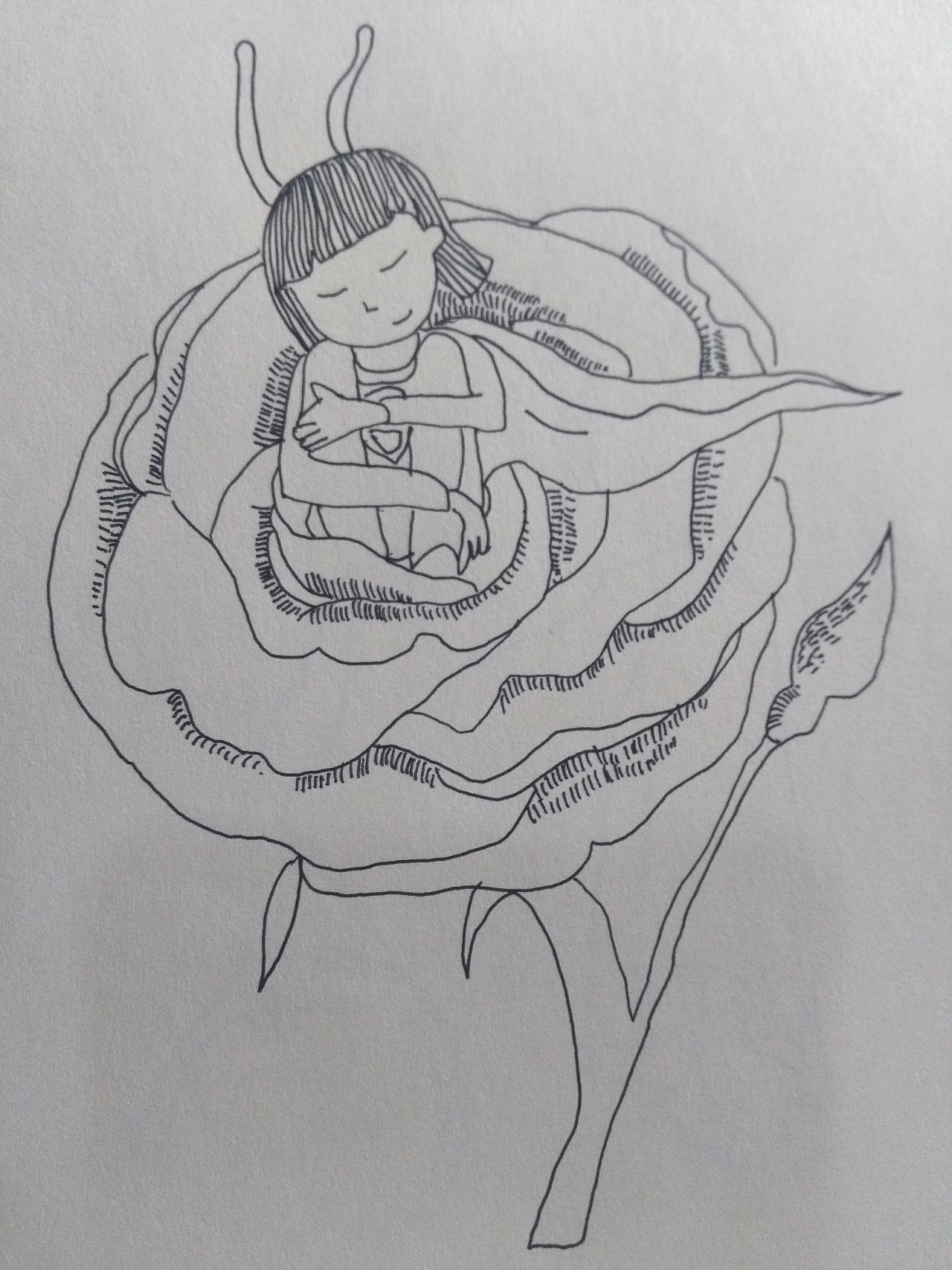 傻兔---黑白画,随心画!