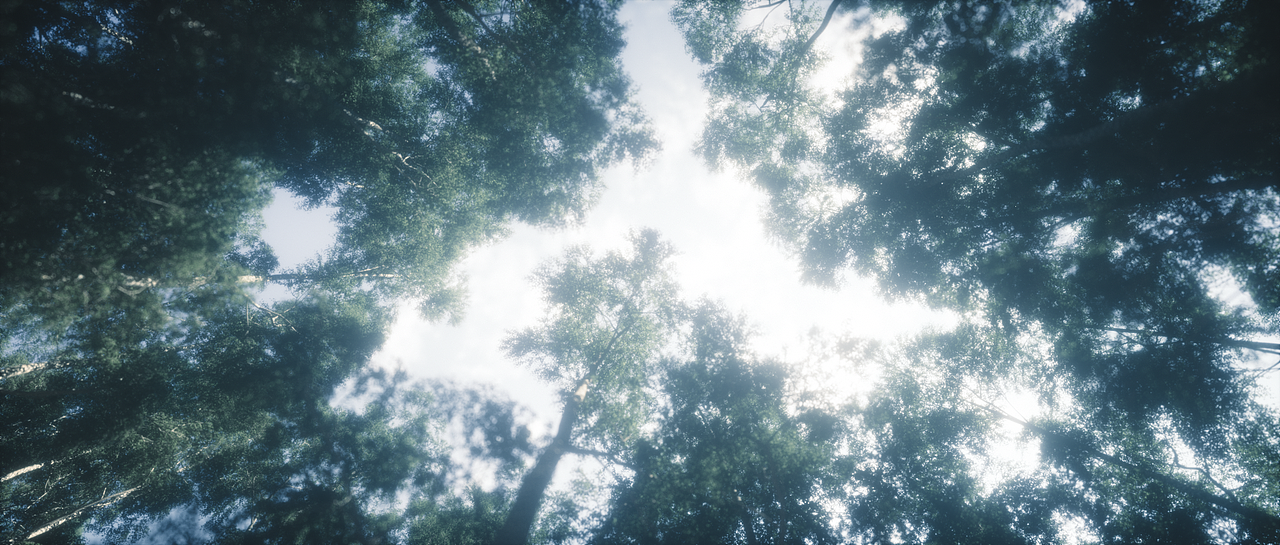 次の横断歩道（图ZMTYzNDk4MDEy） - 场景 - 站酷设计师周圣宇_Anthem原创素材 - 站酷ZCOOL