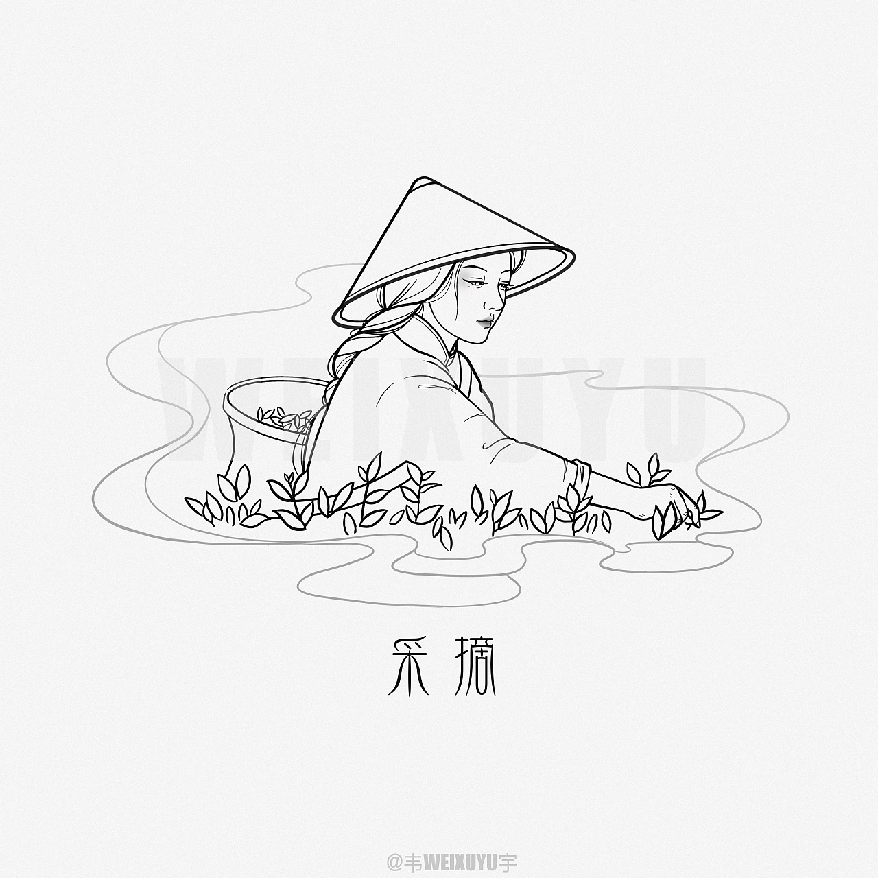 制茶工序|插画|商业插画|小画渣阿波妞 - 原创作品 - 站酷 (zcool)