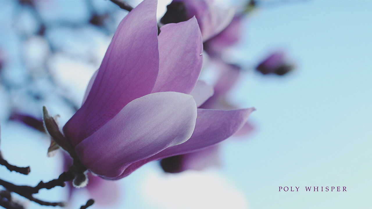 保利心语VI视觉设计-潘通紫(3)