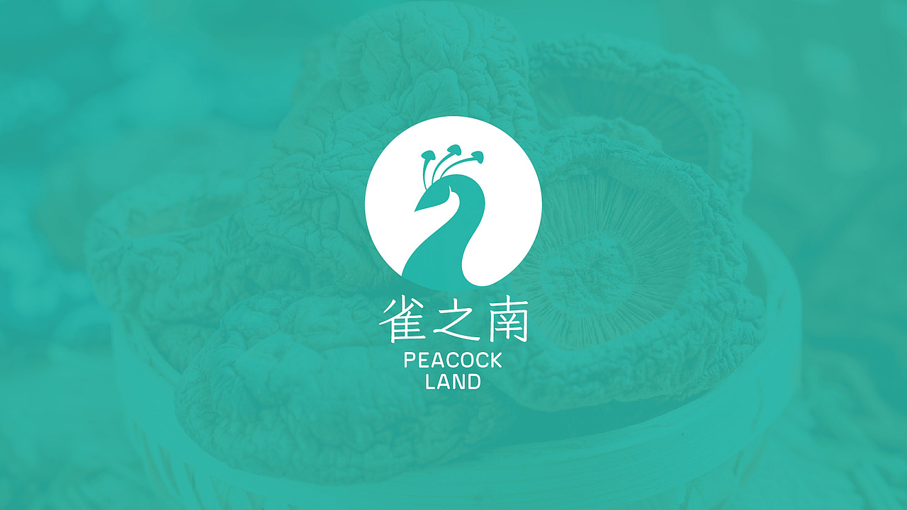 雀之南/菌菇/云南/野生/logo设计