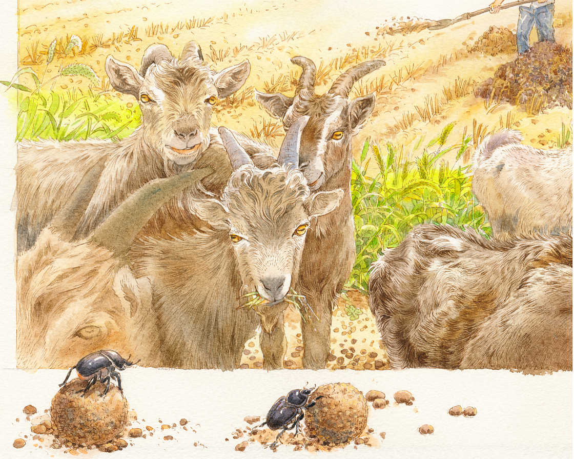 画到记忆深处（图ZMjA3Mjk5NTI0） - 绘本 - 站酷设计师1979水印原创素材 - 站酷ZCOOL