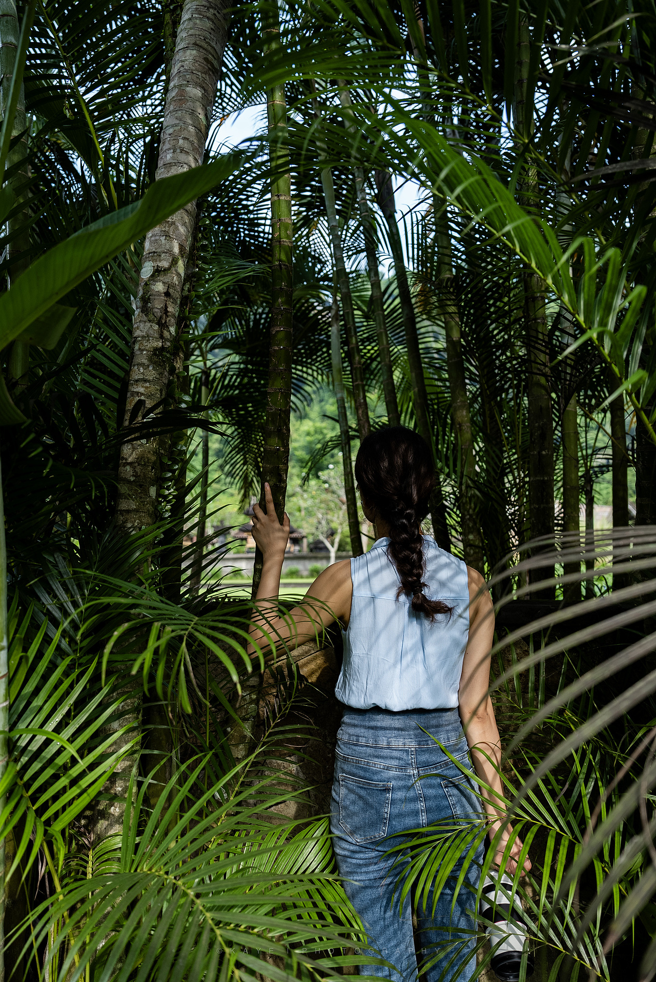 闯入热带雨林之后的旅程~