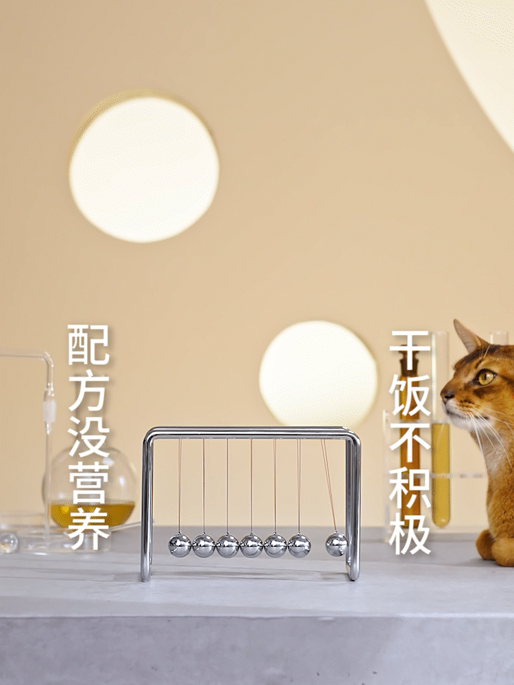 PetMaster佩玛思特宠物猫粮 乐趣文化 #创作加油站#