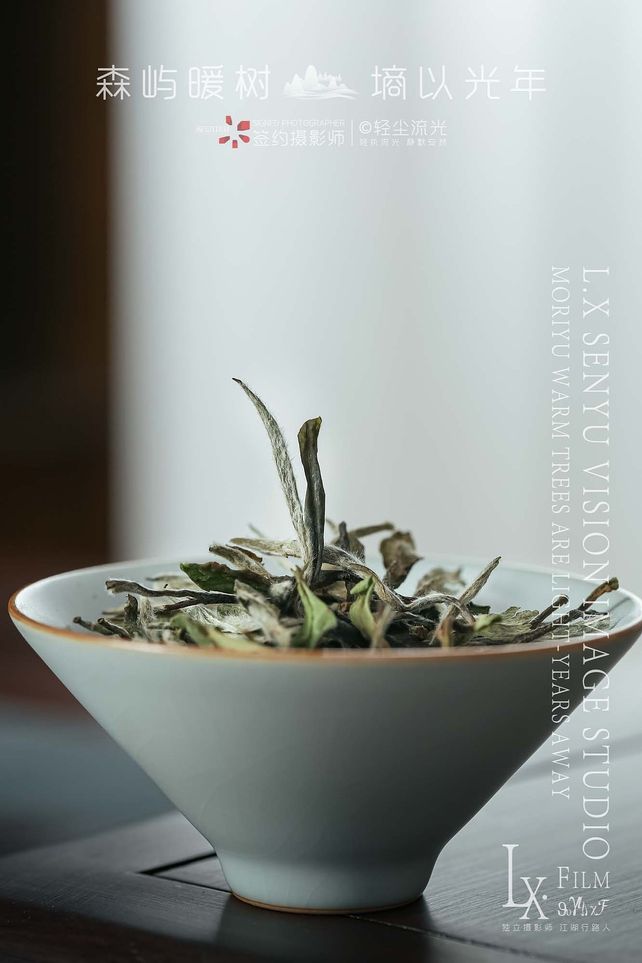 白牡丹白茶商业摄影