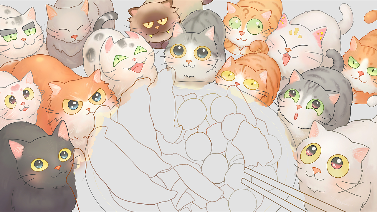 来自猫咪萌的注视