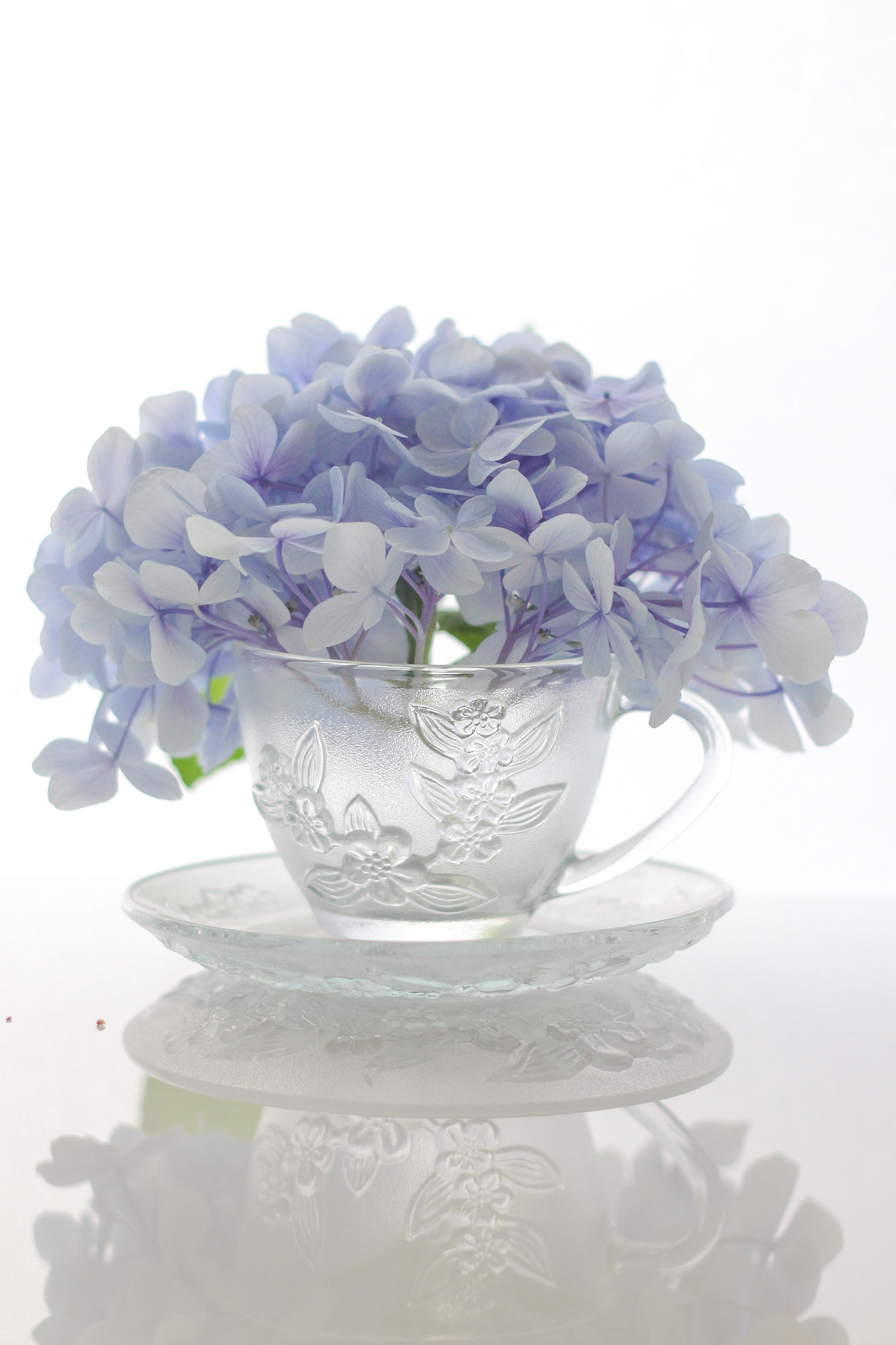 去年复今年,存图何其多3 绣球亮调