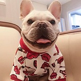 哒哒小胖叮的头像
