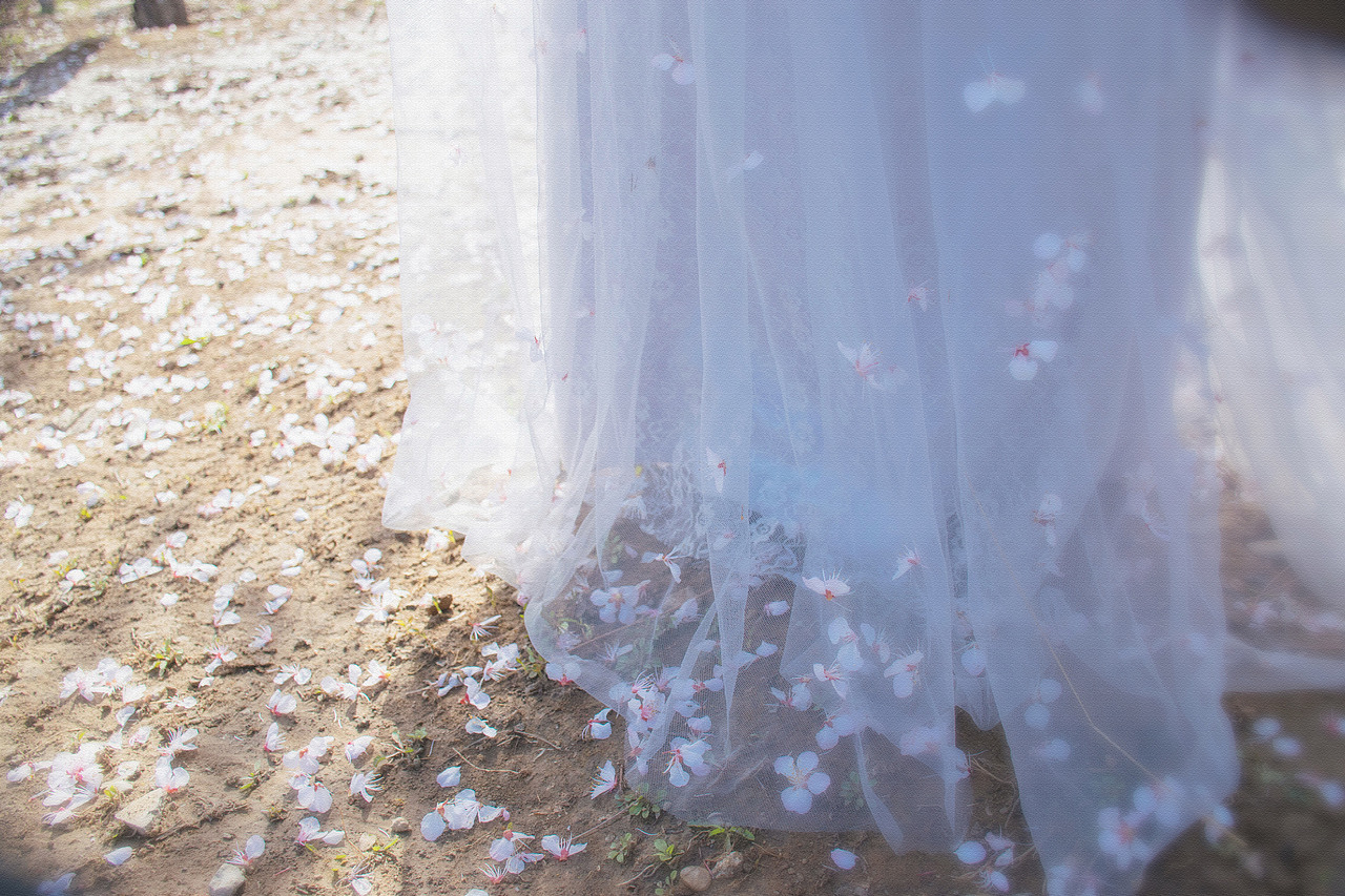 《初樱》（图ZNDUwNTM5MzI=） - 人像摄影 - 站酷设计师cry很忐忑原创素材 - 站酷ZCOOL